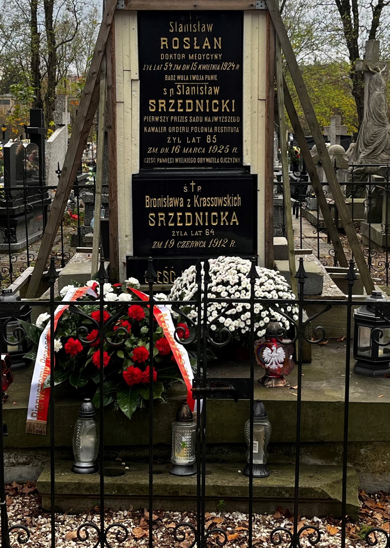 Stanisław Pomian-Srzednicki
